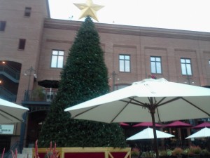 Christmas Tree in Old Town