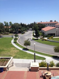 Pomona's campus from a library window