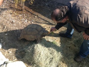 Sam the Tortoise served as an adorable testament to water-friendliness and eating your vegetables!