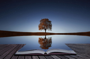 Tree behind lake with open book on dock