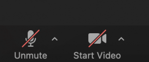 screenshot of unmute and start video buttons on zoom