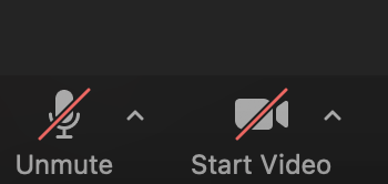 screenshot of unmute and start video buttons on zoom