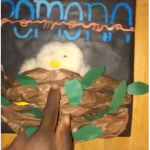 illustration of Oluyemisi's finger pointing at chick in nest with Pomona across top