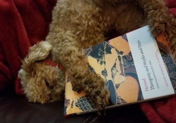 Leslie's small dog cuddling a copy of Hesiod
