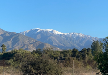 snow-capped San Gabriel mountains